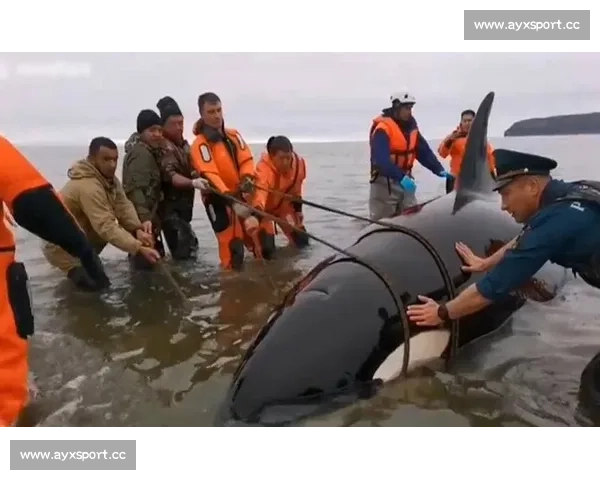 网友炸锅！体育协会一举动引争议，你怎么看